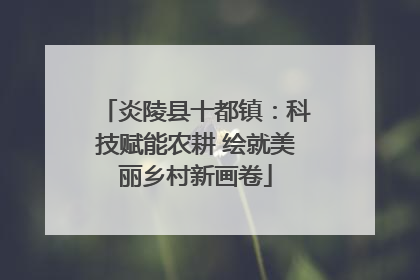 炎陵县十都镇：科技赋能农耕 绘就美丽乡村新画卷