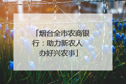 烟台全市农商银行：助力新农人 办好兴农事