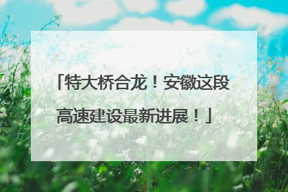 特大桥合龙！安徽这段高速建设最新进展！