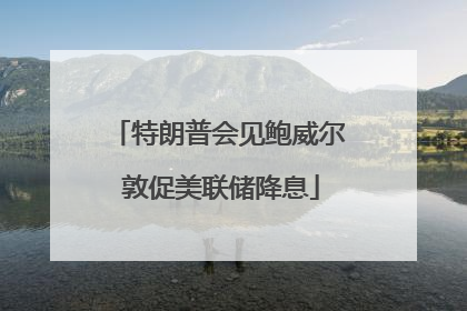 特朗普会见鲍威尔 敦促美联储降息