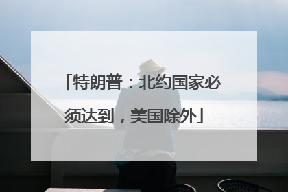 特朗普：北约国家必须达到，美国除外
