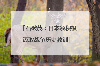 石破茂：日本须积极汲取战争历史教训