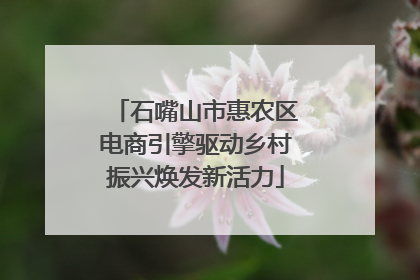 石嘴山市惠农区电商引擎驱动乡村振兴焕发新活力