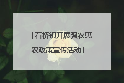 石桥镇开展强农惠农政策宣传活动