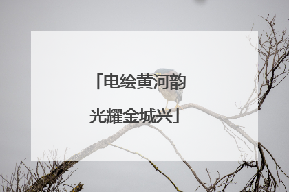 电绘黄河韵 光耀金城兴