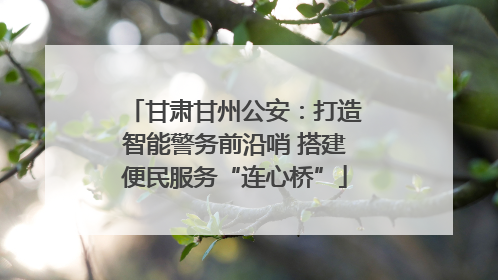 甘肃甘州公安：打造智能警务前沿哨 搭建便民服务“连心桥”