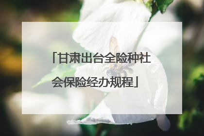 甘肃出台全险种社会保险经办规程