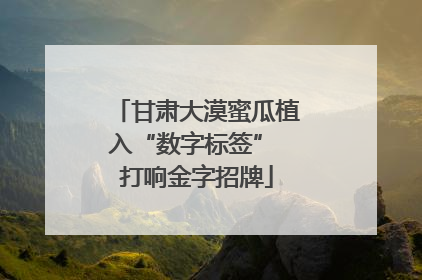 甘肃大漠蜜瓜植入“数字标签” 打响金字招牌
