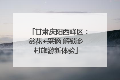 甘肃庆阳西峰区：赏花+采摘 解锁乡村旅游新体验