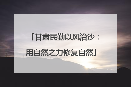甘肃民勤以风治沙：用自然之力修复自然
