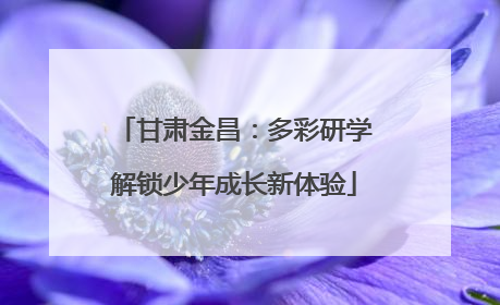 甘肃金昌：多彩研学解锁少年成长新体验