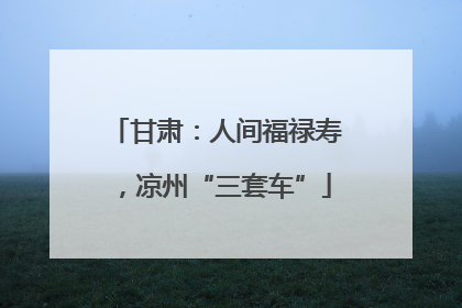 甘肃：人间福禄寿，凉州“三套车”