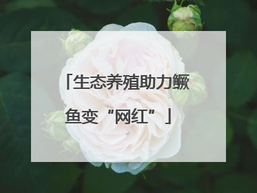 生态养殖助力鳜鱼变“网红”