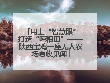 用上“智慧眼” 打造“吨粮田”——陕西宝鸡一座无人农场夏收见闻