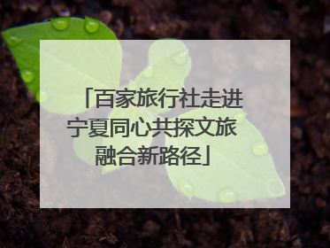 百家旅行社走进宁夏同心共探文旅融合新路径