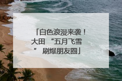 白色浪漫来袭！大田 “五月飞雪” 刷爆朋友圈