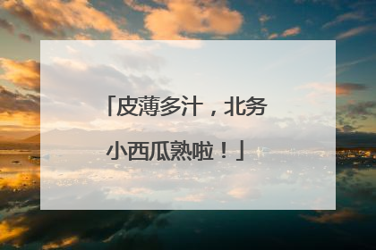 皮薄多汁，北务小西瓜熟啦！