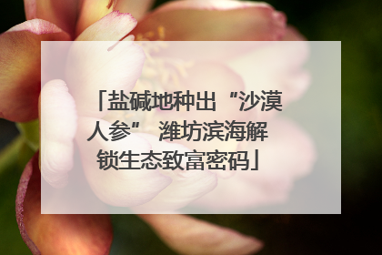 盐碱地种出“沙漠人参” 潍坊滨海解锁生态致富密码