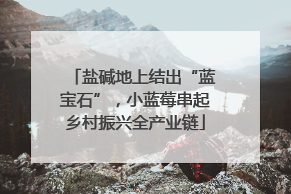 盐碱地上结出“蓝宝石”，小蓝莓串起乡村振兴全产业链