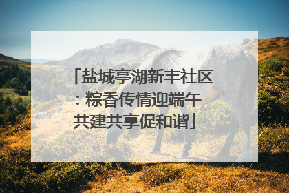 盐城亭湖新丰社区：粽香传情迎端午 共建共享促和谐