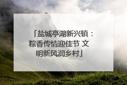盐城亭湖新兴镇：粽香传情迎佳节 文明新风润乡村