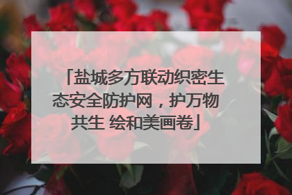盐城多方联动织密生态安全防护网，护万物共生 绘和美画卷
