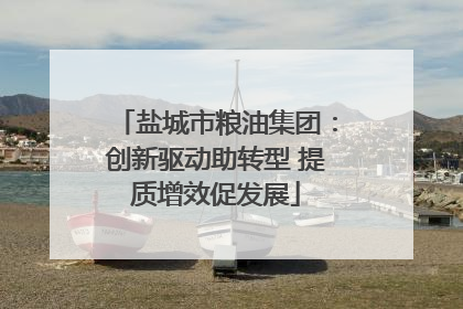 盐城市粮油集团：创新驱动助转型 提质增效促发展