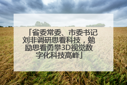 省委常委、市委书记刘非调研思看科技，勉励思看勇攀3D视觉数字化科技高峰