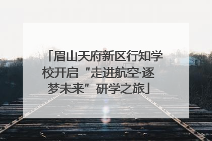 眉山天府新区行知学校开启“走进航空·逐梦未来”研学之旅
