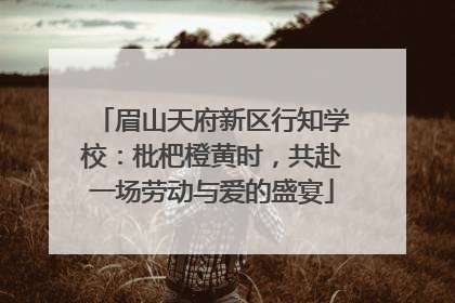 眉山天府新区行知学校：枇杷橙黄时，共赴一场劳动与爱的盛宴