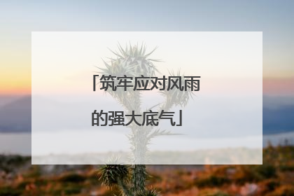 筑牢应对风雨的强大底气