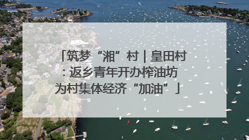 筑梦“湘”村｜皇田村：返乡青年开办榨油坊 为村集体经济“加油”