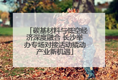 碳基材料与低空经济深度融合 长沙举办专场对接活动撬动产业新机遇