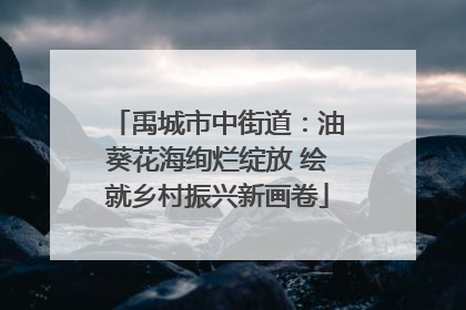 禹城市中街道：油葵花海绚烂绽放 绘就乡村振兴新画卷