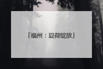 福州：夏荷绽放
