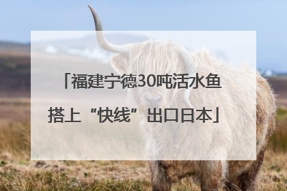福建宁德30吨活水鱼搭上“快线”出口日本