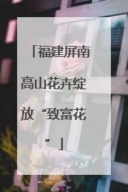 福建屏南高山花卉绽放“致富花”