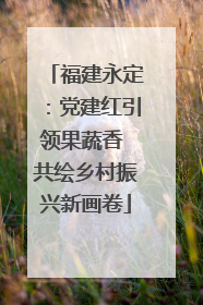 福建永定：党建红引领果蔬香 共绘乡村振兴新画卷