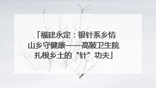 福建永定：银针系乡情 山乡守健康——高陂卫生院扎根乡土的“针”功夫