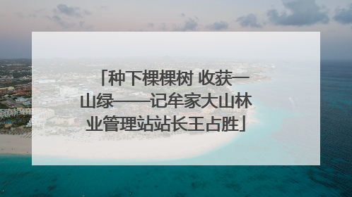 种下棵棵树 收获一山绿——记牟家大山林业管理站站长王占胜