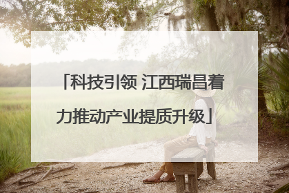 科技引领 江西瑞昌着力推动产业提质升级