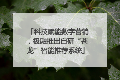 科技赋能数字营销，极融推出自研“苍龙”智能推荐系统