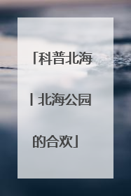 科普北海丨北海公园的合欢