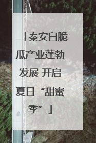 秦安白脆瓜产业蓬勃发展 开启夏日“甜蜜季”