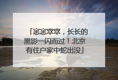窸窸窣窣，长长的黑影一闪而过！北京有住户家中蛇出没