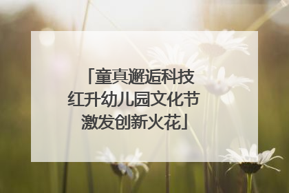 童真邂逅科技 红升幼儿园文化节激发创新火花