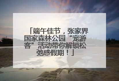 端午佳节，张家界国家森林公园“宠游客”活动带你解锁松弛感假期！