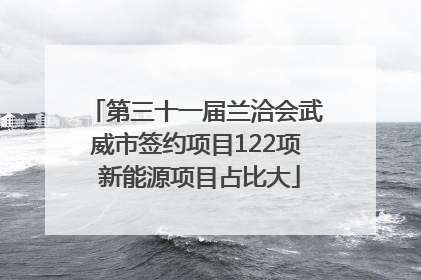 第三十一届兰洽会武威市签约项目122项 新能源项目占比大