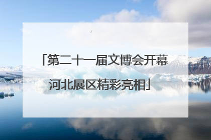 第二十一届文博会开幕 河北展区精彩亮相