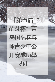 第五届“萌芽杯”青岛国际乒乓球青少年公开赛成功举办